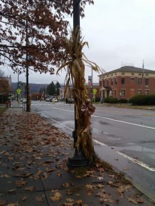 fall.jpg