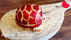 apple turtles.gif