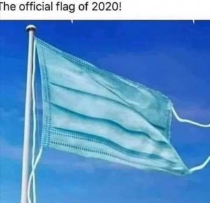 2020 Flag.jpg