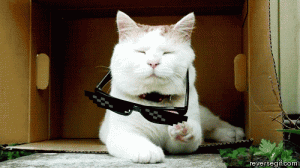 033d4b660d62721ece2a5044286d1556.gif