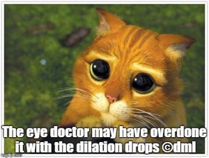 eye doctor.jpg
