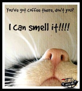coffee.jpg