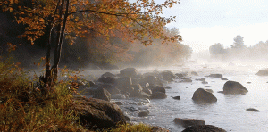 river in fall.gif