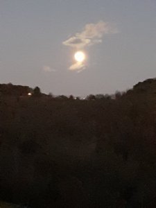 20201030_190721.jpg