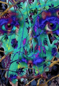 tumblr_a409cd53f5705e8d36f8f9597d2dcd46_71a84f7e_500.jpg