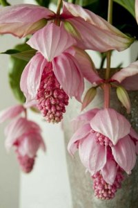 tumblr_096cadd3a63beaa854c102c3503fa8ce_b137c9e9_540.jpg