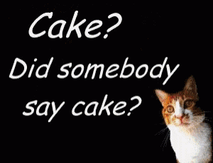 catcake.gif