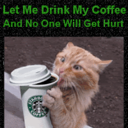 cat coffee.gif