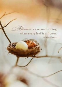 49d26550bb61f244988ac5db93bec02b[1].jpg