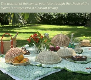 picnic.jpg