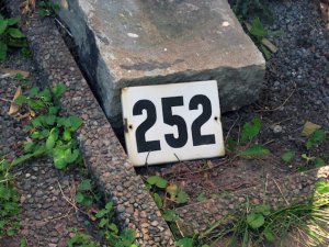 Number 252 @.jpg