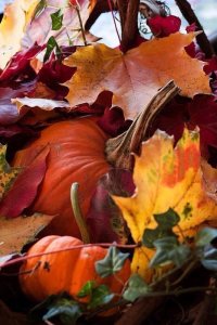 5884a2c1c21d66da7cbab921f15b077e[1].jpg
