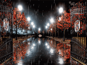 autumn7-2-3-4-5-6-7-8-9-10.gif