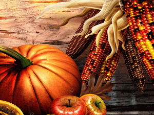 thanksgiving-pumpkin-wallpaper-816946.gif