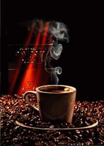 3f69fc6f3447d244680746352adc510e[1].gif