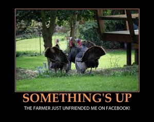 Somethings-up.-The-farmer-just-unfriended-me-on-Facebook-funny-Thanksgiving-turkeys.jpg
