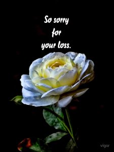 sorry for your loss.jpg
