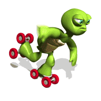 turtle wheels.gif