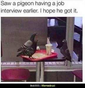 img (3).jpeg