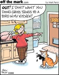 turkey funny 6.jpeg