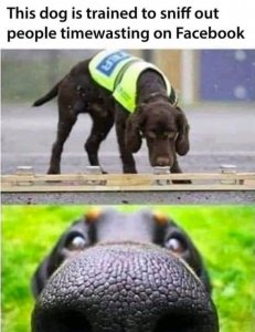FB_IMG_16044633253391911.jpg