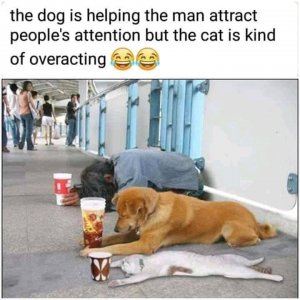 FB_IMG_16045299734565874.jpg