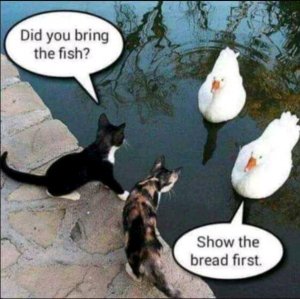 FB_IMG_16045541562585913.jpg