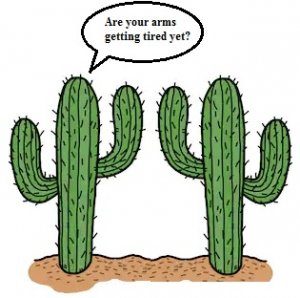 cacti.jpg