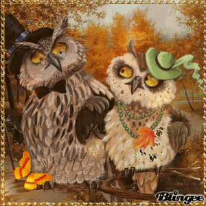 owls 2.gif