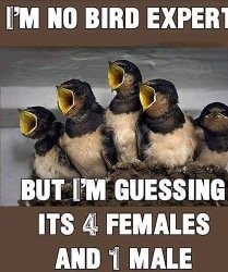 5867F6FA-A1E7-456F-B63C-3C35B51C43F5.jpeg