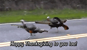 d466a9f408e1c3cfa1ac68553c0df386.gif