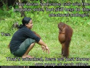 349ED60D-7A48-44C5-9C4D-1F3EA1B28E75.jpeg