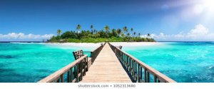 tropical2.jpg