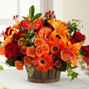 Birthday Autumn.jpg