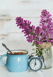 92098ecdfe9017920c58445bee25d9ee[1].gif