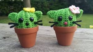 cactus.jpg