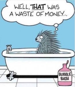 porcupine.jpg