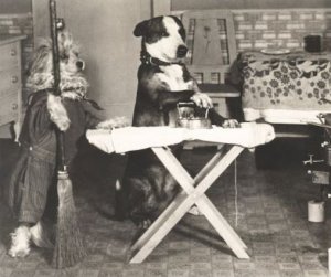 Ironing @.jpg