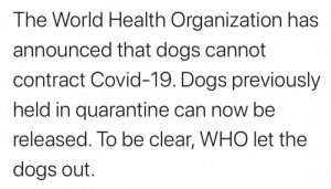 Best-funny-Coronavirus-memes-2020-Honeycombers-Bali-8.jpg