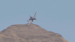 AlienatedTestyFritillarybutterfly-small.gif