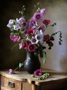 tumblr_os8e0qTi2b1w73o8eo1_500.jpg