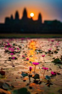 165525-Beauty-Of-India.jpg