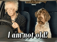 tenor (2).gif