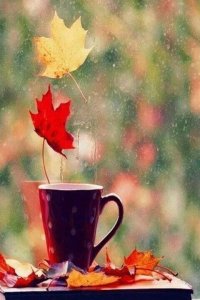 139839-Cup-Of-Coffee-On-A-Autumn-Day.jpg