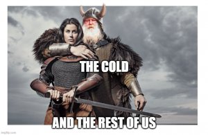 the cold and the rest of us.jpg fin.jpg