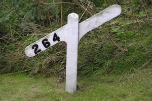 Number 264 @.jpg