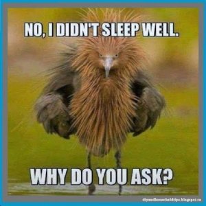 00ba52a66a4321bf11ed1d00dfe42fcf[1].jpg
