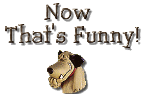 2b1f176343af20f76bb73d4c3906168e.gif