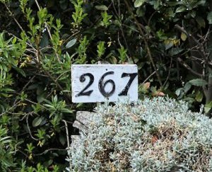 Number 267 @.jpg