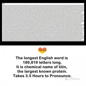 a3aeeda0cb9a43595d3f1058863bb6f5.jpg a3aeeda0cb9a43595d3f1058863bb6f5.jpg